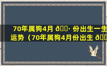 70年属狗4月 🌷 份出生一生运势（70年属狗4月份出生 🕸 一生运势怎么样）